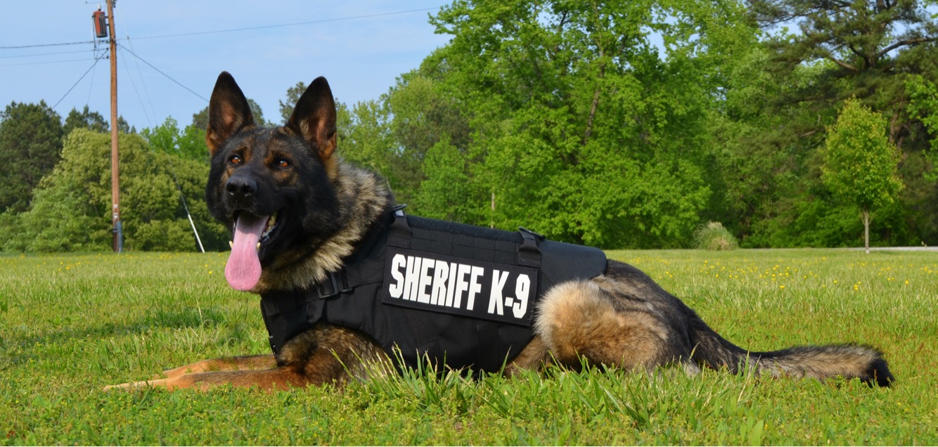 K9 Chaka